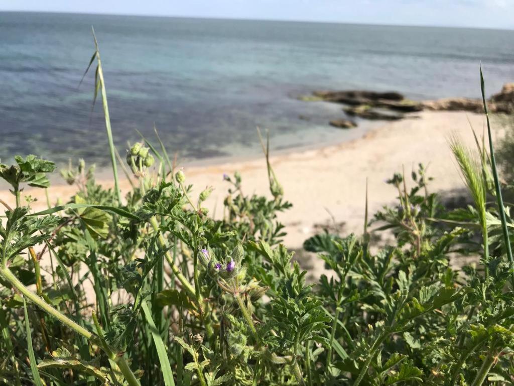 Black Sea Wellnest Aheloy Buitenkant foto